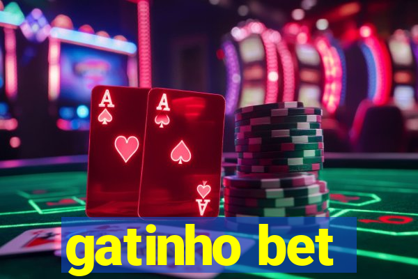 gatinho bet